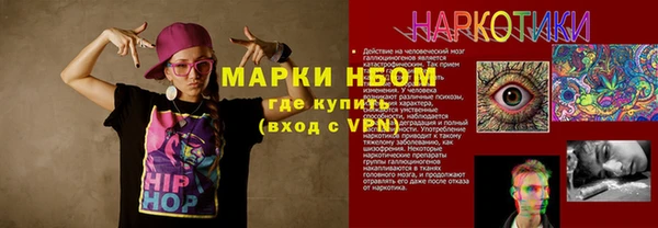индика Костерёво
