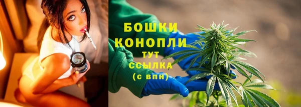 индика Костерёво