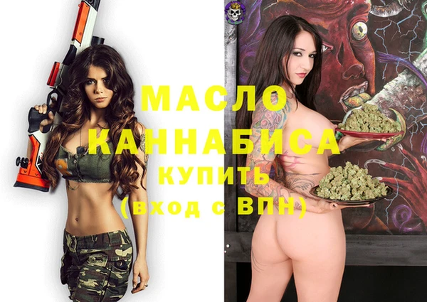 индика Костерёво