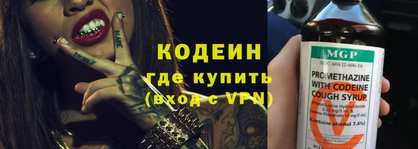 индика Костерёво