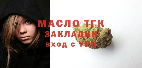 индика Костерёво