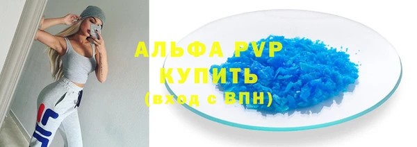 индика Костерёво