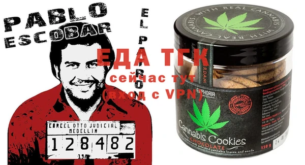 индика Костерёво