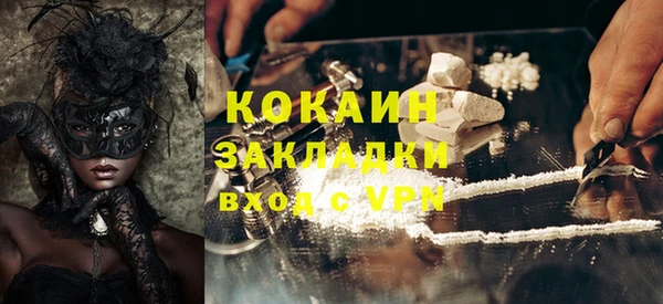 индика Костерёво