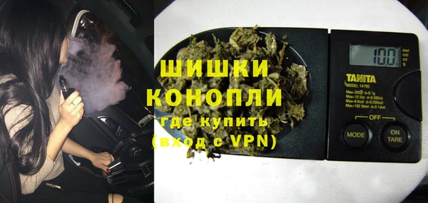 индика Костерёво