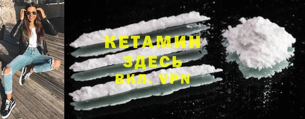 индика Костерёво